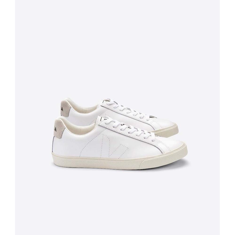 Veja ESPLAR LEATHER Sneakers Dames White/Beige | NL 621HAP